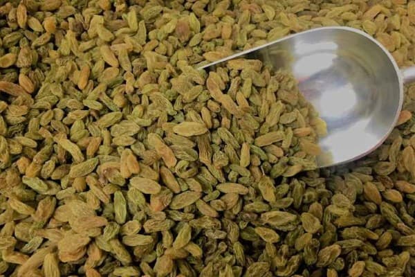 تصویر 2 از قیمت کشمش سبز صادراتی + خرید باور نکردنی
